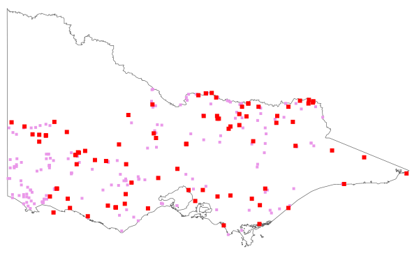 Trifolium cernuum (distribution map)