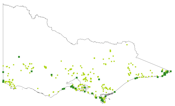 Galium australe (distribution map)