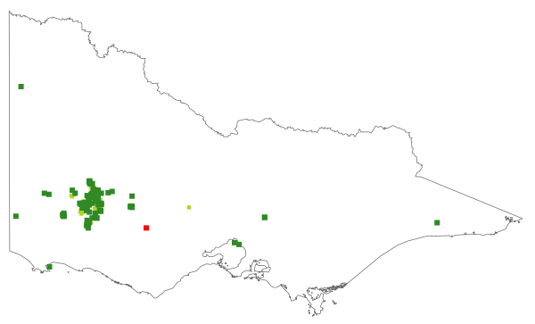 Correa aemula (distribution map)