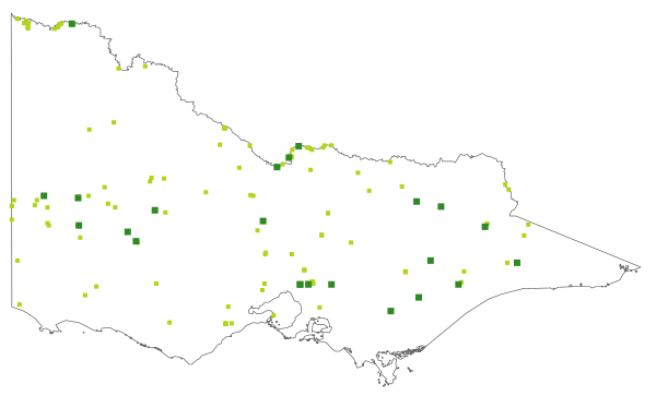 Glossostigma elatinoides (distribution map)