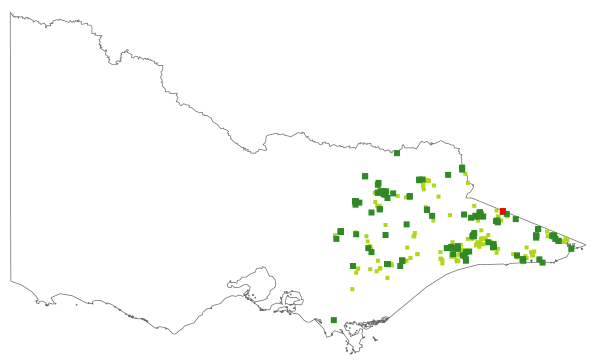 Gaudium brevipes (distribution map)