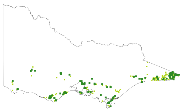Schizaea bifida (distribution map)