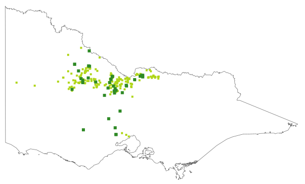 Maireana humillima (distribution map)