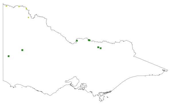 Cyperus flaccidus (distribution map)
