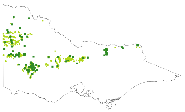 Styphelia rufa (distribution map)