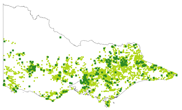 Stylidium graminifolium (distribution map)