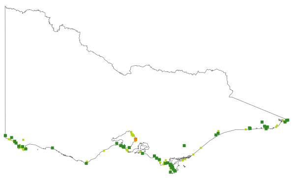 Olearia glutinosa (distribution map)