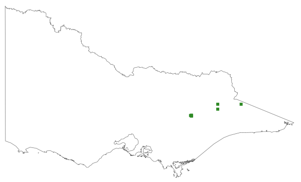 Drabastrum alpestre (distribution map)