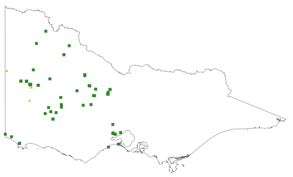 Billardiera versicolor (distribution map)
