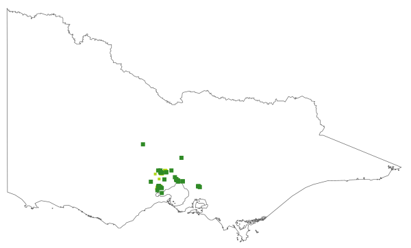 Pterostylis truncata (distribution map)
