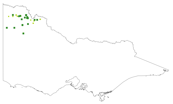 Goodenia connata (distribution map)