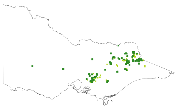 Hovea asperifolia (distribution map)