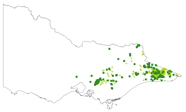 Oxylobium arborescens (distribution map)