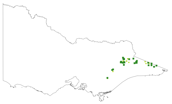 Caladenia hildae (distribution map)