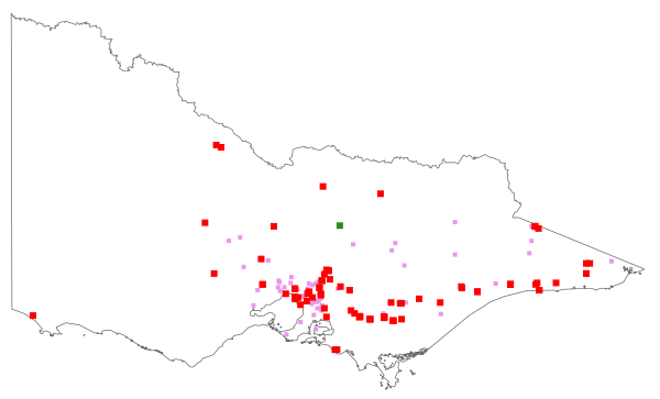 Persicaria maculosa (distribution map)