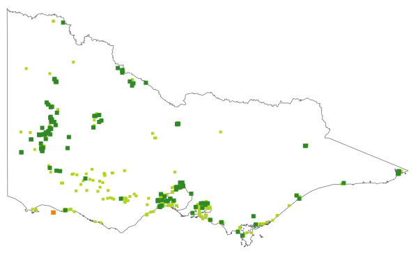 Puccinellia stricta (distribution map)