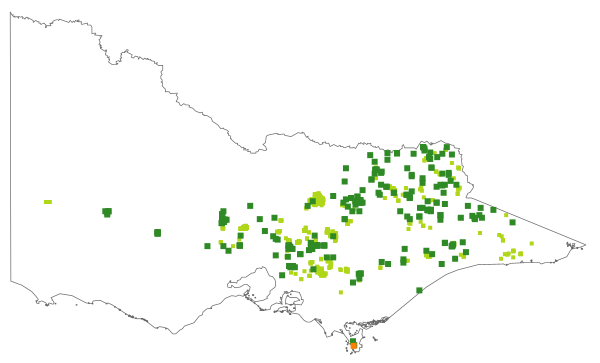 Platylobium montanum (distribution map)