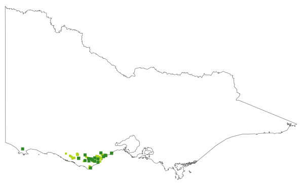 Asperula oblanceolata (distribution map)
