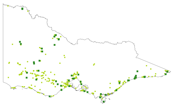 Thyridia repens (distribution map)