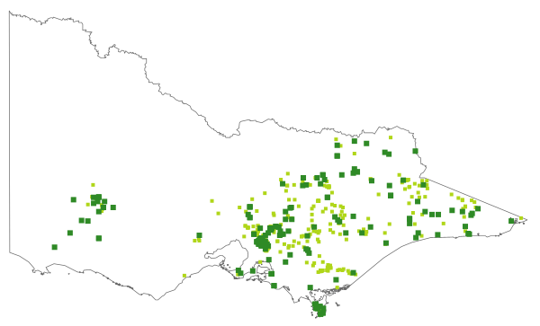 Pterostylis alpina (distribution map)