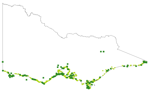Poa poiformis (distribution map)