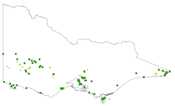 Phylloglossum drummondii (distribution map)
