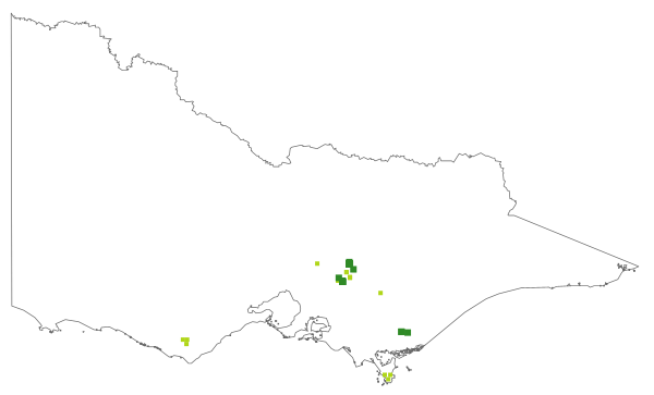 Dicranoloma platycaulon (distribution map)