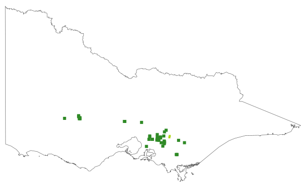 Olearia rugosa subsp. rugosa (distribution map)