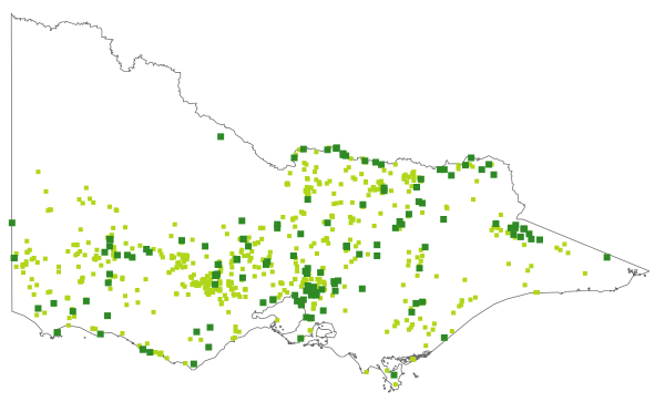 Isotoma fluviatilis subsp. australis (distribution map)