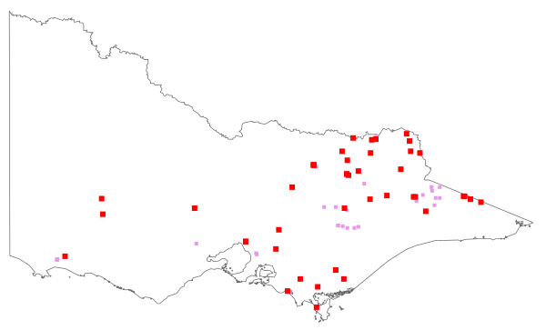 Aphanes inexspectata (distribution map)