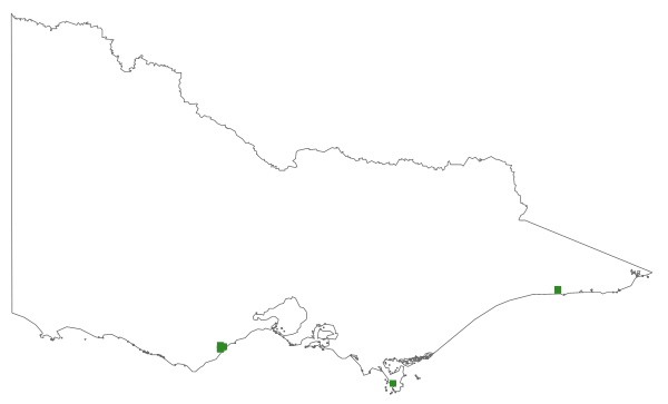 Dicranoloma fasciatum (distribution map)