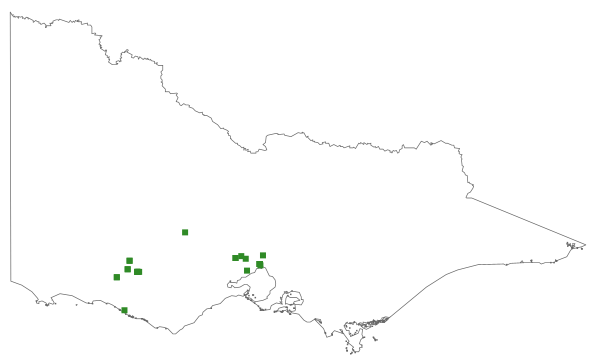 Pterostylis conferta (distribution map)