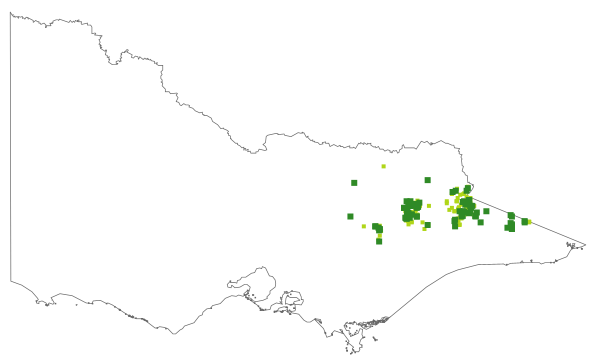 Juncus falcatus (distribution map)