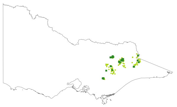 Podolepis robusta (distribution map)