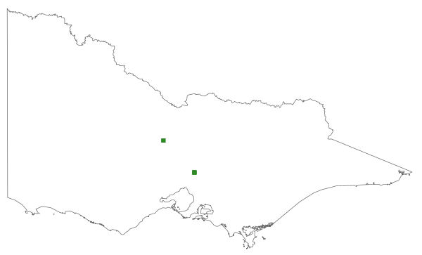Prasophyllum erythrocommum (distribution map)