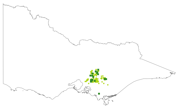 Carex alsophila (distribution map)