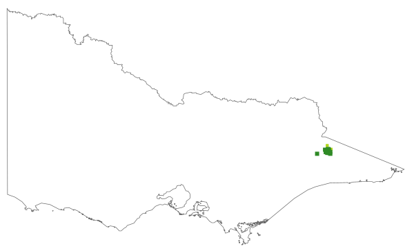 Dillwynia prostrata (distribution map)