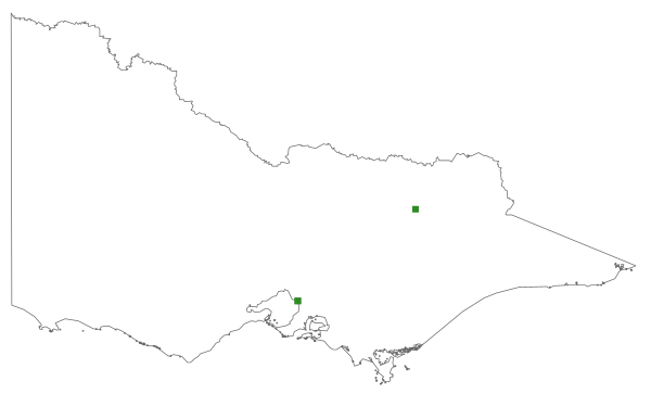 Bryum subapiculatum (distribution map)