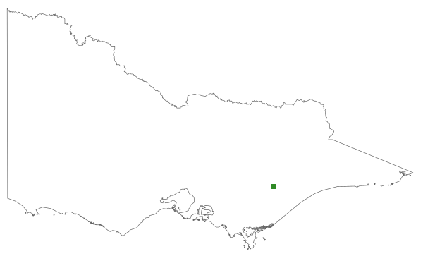 Eucalyptus ornans (distribution map)