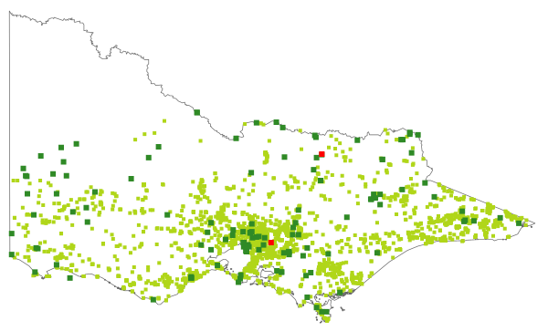 Oxalis exilis (distribution map)