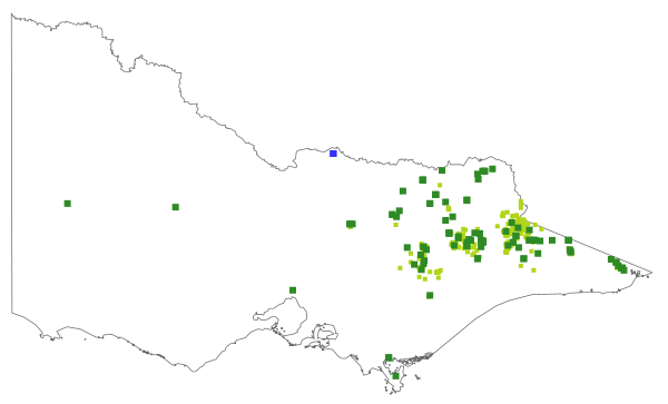 Hakea microcarpa (distribution map)