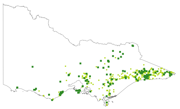 Blechnum parrisiae (distribution map)