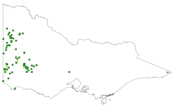 Grevillea lavandulacea subsp. lavandulacea (distribution map)