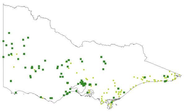 Cassytha glabella f. dispar (distribution map)