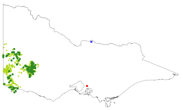 Hakea rostrata (distribution map)