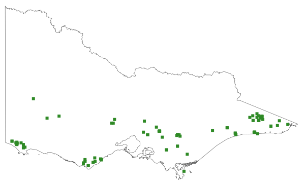 Dicranoloma dicarpum (distribution map)