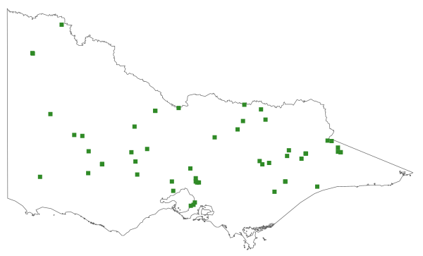 Goodenia paradoxa (distribution map)