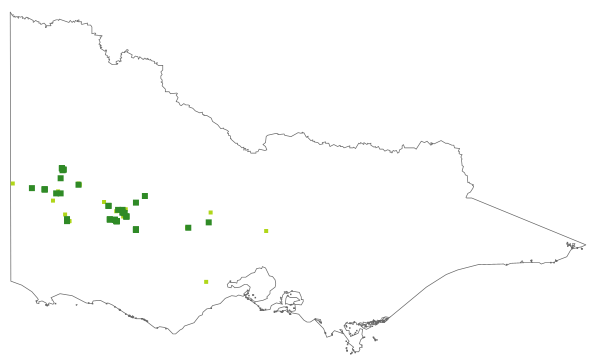 Thelymitra luteocilium (distribution map)