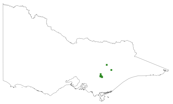 Coprosma perpusilla (distribution map)