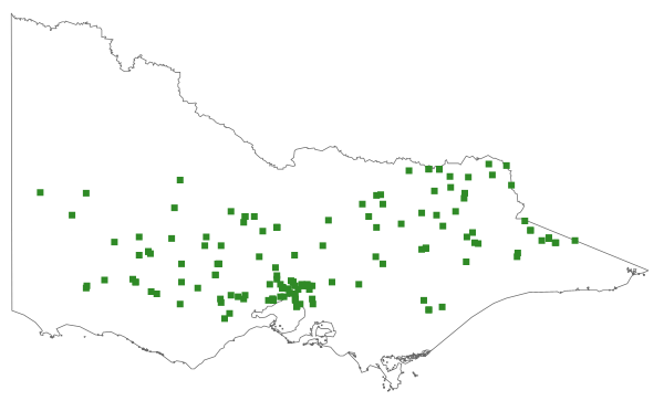 Pimelea curviflora subsp. sericea (distribution map)